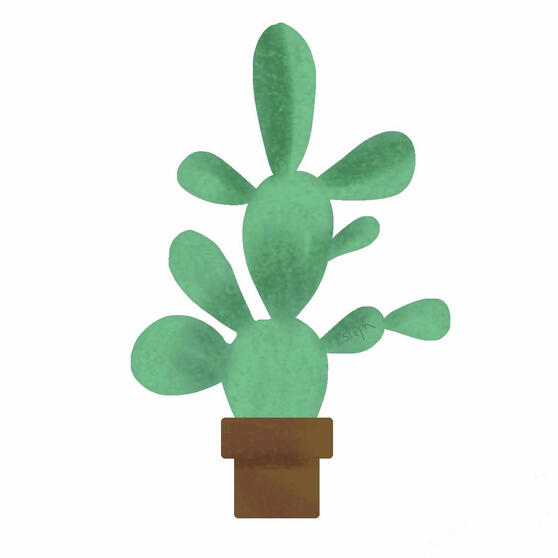 catus