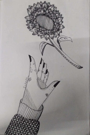 girasol